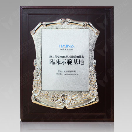 澳大利亞MRC肌功能矯治技術(shù)臨床示范基地